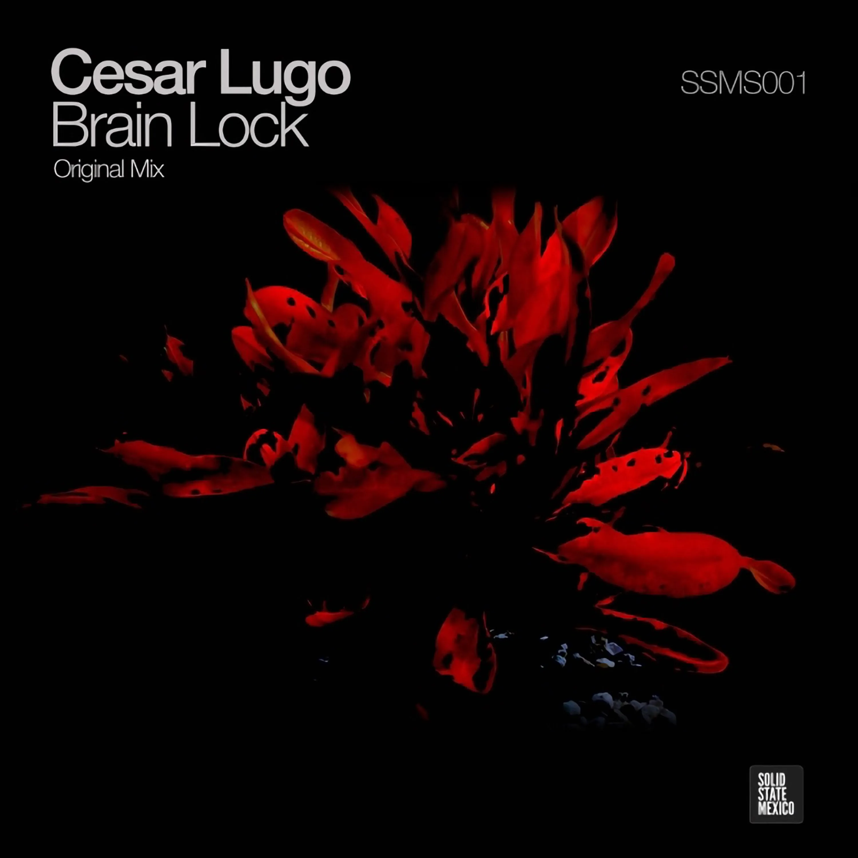 Brain Lock artwork